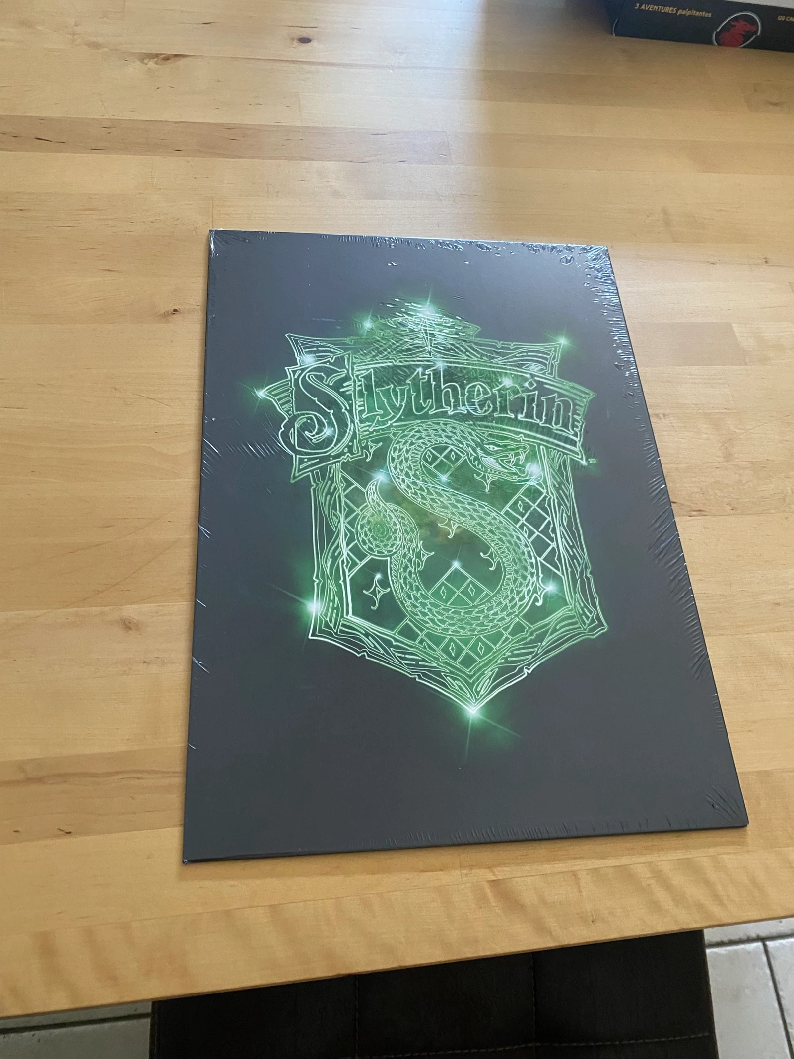 Displate officiel Harry Potter Serpentard métal 45 × 32 neuf – photo 5